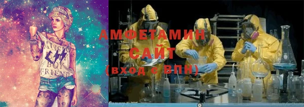 гашик Алексин